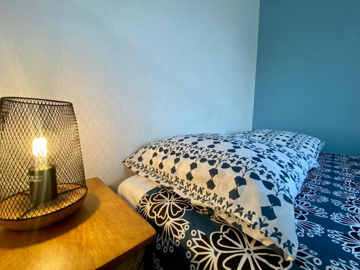 Studios Sauzede - Carcassonne Centre-Ville ภายนอก รูปภาพ